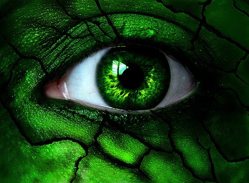 5 Tips for Slaying Your Green Eyed Monster